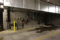 Gorgeous 1Br Apt in the Heart of Downtown Pdx