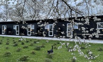 Klokkehoej - Housity