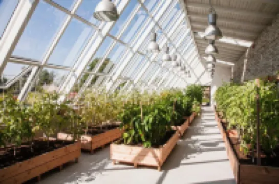 Vihula Manor Country Club & Spa Hotels in 