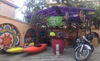 The Sparkling Turtle Backpackers Hostel