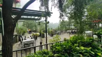 7 Pines Kasauli