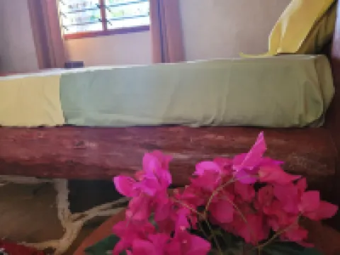 Cove House House 60 m2 Creekside Indian Ocean Hotels in Shimoni