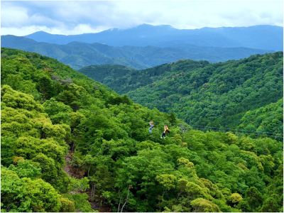 ホテル周辺 ホテルラフォーレ修善寺の写真