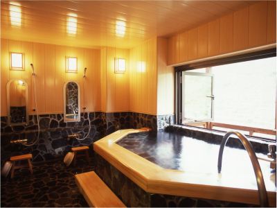 スパ・大浴場 ナスパニューオータニの写真