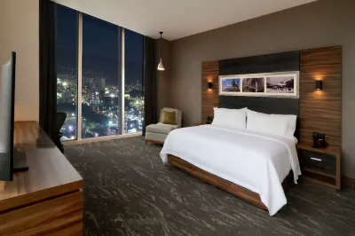 Hilton Garden Inn Monterrey Obispado Hoteles cerca de PARQUE LAGOS