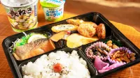 Hitoyoshi Shinjo No Yado Hotel di Asagiri