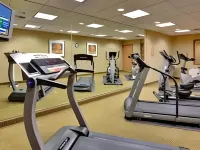 特哈查比智選假日酒店 - 健身室/gym room