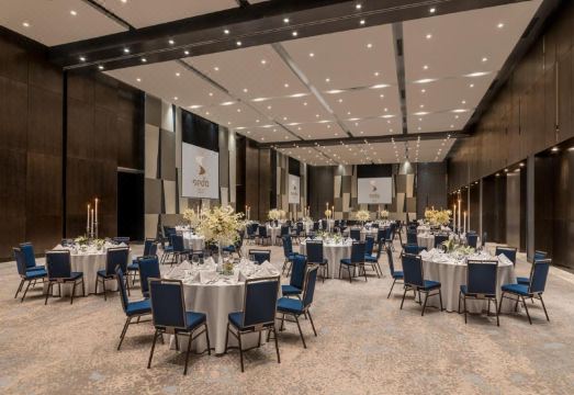 5. 세다 버티스 노..