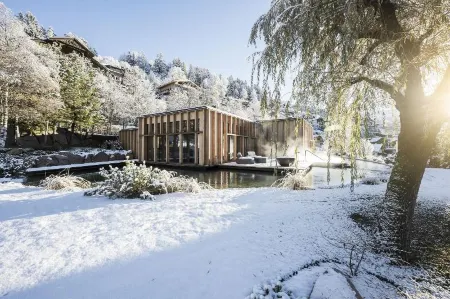 Adler Spa Resort Dolomiti Отели рядом с достопримечательностью «Seceda»