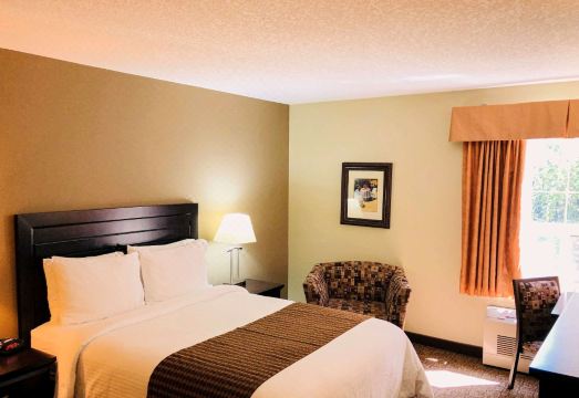 이코노 로지 오코톡스 객실