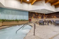 Best Western Premier the Lodge on Lake Detroit - Badekar