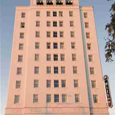 希爾頓巴吞魯日國會中心飯店 Hotel Exterior