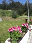 The Uliveto Holidays House,Garden Terrace, sea  Beach 5 Terre IT011012C273MS8OBI