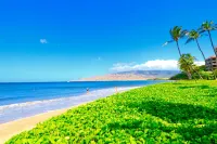 Oceanfront Condo at Sugar Beach Resort- Stunning Sunsets and Beach Front - 3つ星