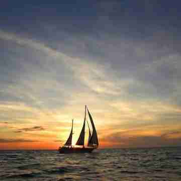 Fremantle Dolphin Retreat Others