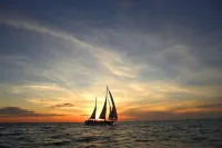 Fremantle Dolphin Retreat