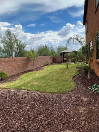 THE LITTLE PALACE Отели рядом с достопримечательностью «Old Pueblo Pediatrics»