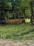 Cabin Bunkhouse with Hot Tub on Private Lake, Fire Pit & Swings in Vian, OK!