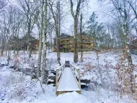Ski in/out, AC, Gas Fireplace, Wifi, Coffee Bar, 1 Dog ok!