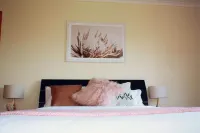 On The Dunes White Beach (Beach Front House)