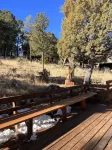 Deer Lover's Paradise