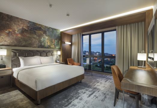 힐튼 가든 인 얄로바 수영장