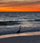 Perfect Romantic Beach Getaway!