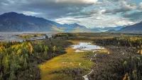 Relax with amazing 360° mountain views in this cozy Alaskan tiny cabin!