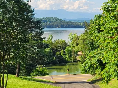 Secluded Lofty Escape