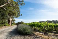 Alluca Villa McLaren Vale vineyard escape