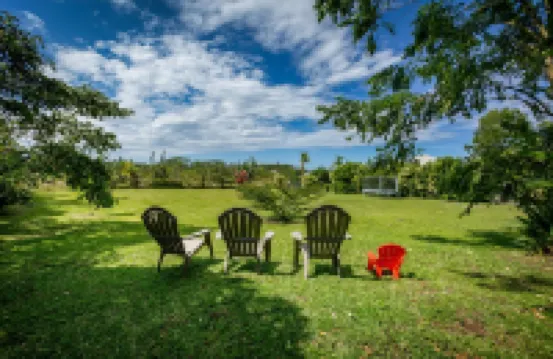 BRAND NEW - Lave Suite - Large Studio Apartment