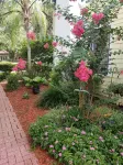 Cozy Carriage House on Spring Bayou Các khách sạn gần New Beginning Oneness Center