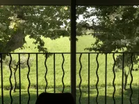 New mod cons et quiet T2 in Provencal farmhouse in countryside, fully equipped Hotels in Saint-Martin-de-Crau