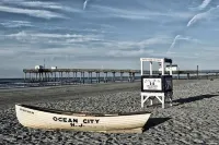 Brand New 2023- 4 BR 2.5 bath on Fabulous Asbury- Walk everywhere