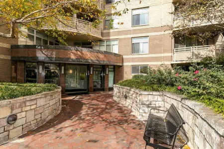 Boutique Bethesda Condo