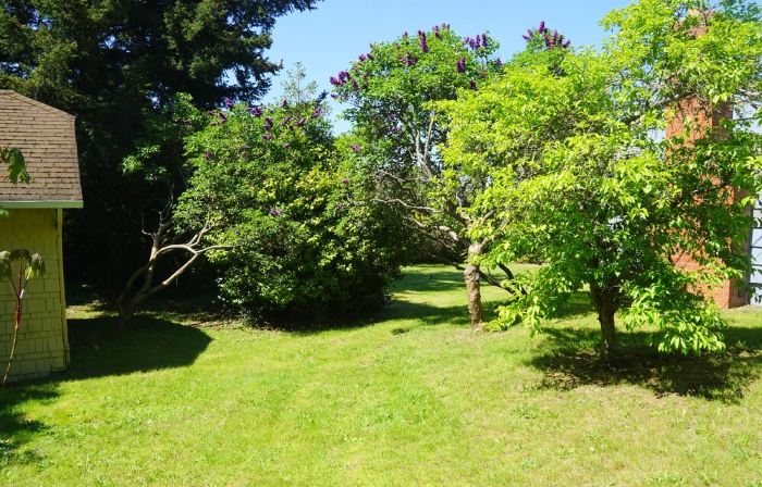 Peaceful and private studio, easy walk to downtown Edmonds