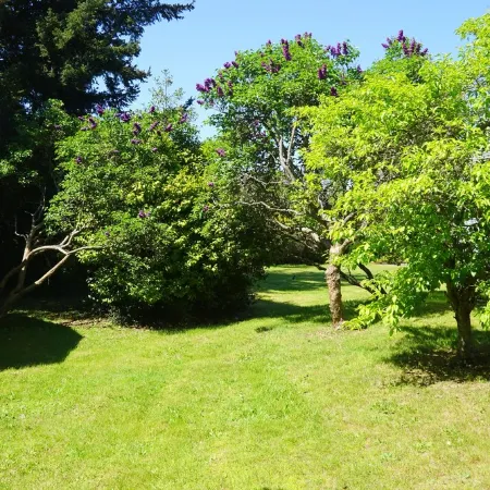 Peaceful and private studio, easy walk to downtown Edmonds