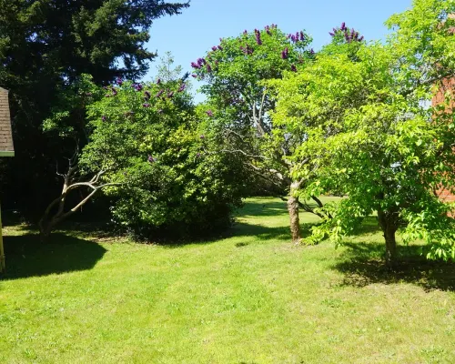 Peaceful and private studio, easy walk to downtown Edmonds Hotels in Edmonds