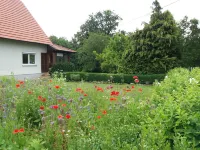 Holiday house on the Iller