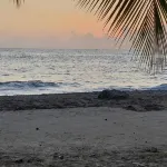 A tropical break in this charming F3 between sea and mountains. Hôtels à : 