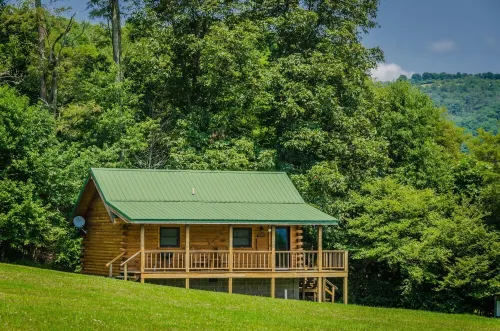 ✧Classic Cabin- NO CLEANING FEE