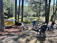 Cozy 2 bedroom cabin nestled in the pines - Homestays