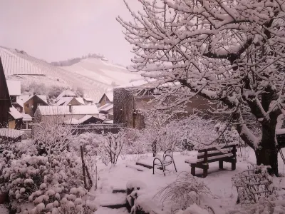 Apartment - quiet and central in the golden wine village of Durbach - Отели рядом с достопримечательностью «Kath. Pfarramt St. Heinrich»