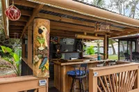 Paradise in Clearwater