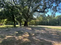 Enjoy a Relaxing Retreat to The Farmhouse in the East Texas Countryside!