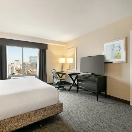 Hilton Garden Inn Atlanta Downtown Hoteles en Atlanta