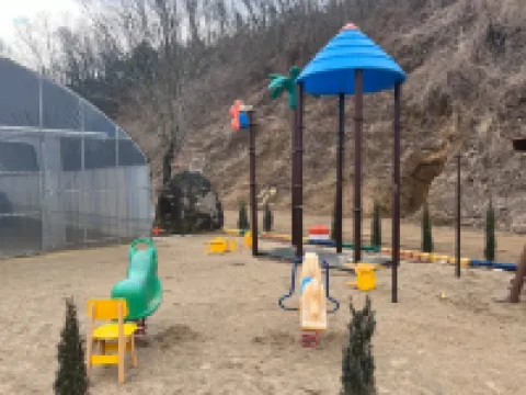 Anseong Yongseol Lake Tourist Farm