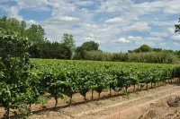 'The Terrace' Cottage - Swimming pool - Pezenas   20km from Cap d'Agde Hotels in Pezenas