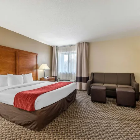 Comfort Inn South