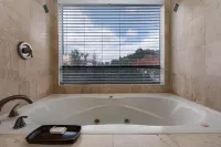 ジ イン アバブ オーク クリーク